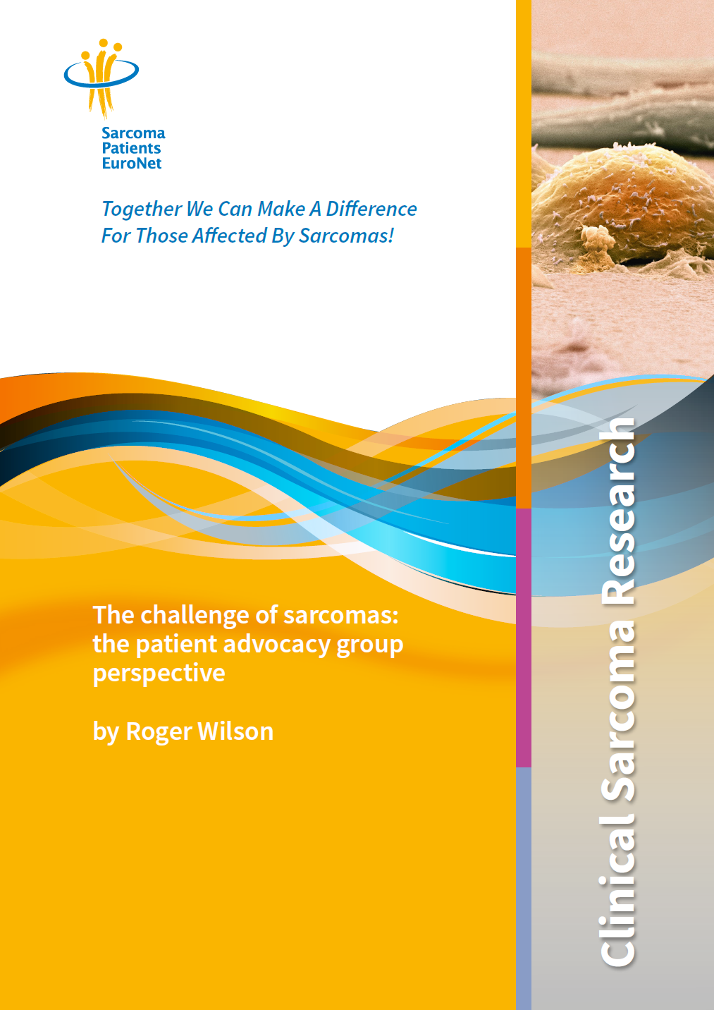 2020 02 06 12 27 12 SPAEN Sarcoma Clinical Research Paper 2019 The challenge of sarcomas Webpdf A